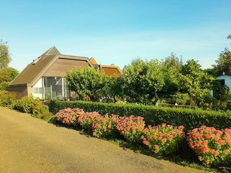 Opmeer Lovely House Till 6 P. Near Amsterdam, Sea 아파트 외부 사진