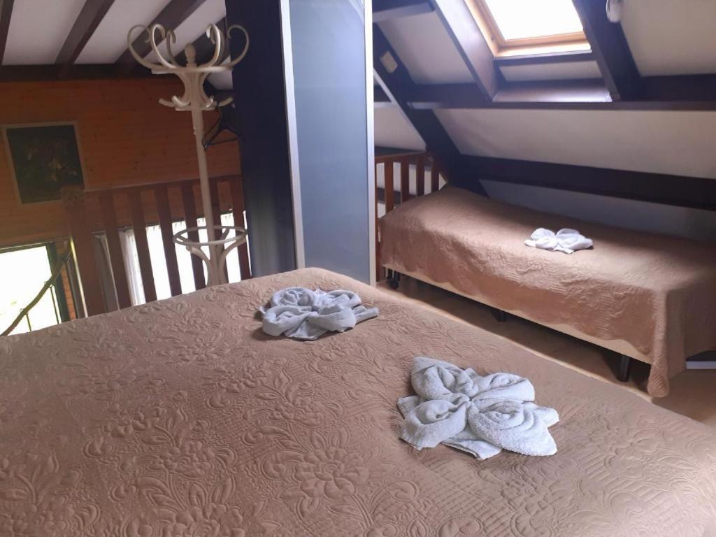 Opmeer Lovely House Till 6 P. Near Amsterdam, Sea 아파트 외부 사진
